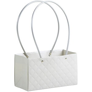 SG Wonder zone/G{Xy[p[obOA3pO[/381-027Gy07z[10] bsOpi A bsO܁Ev[g AWobO