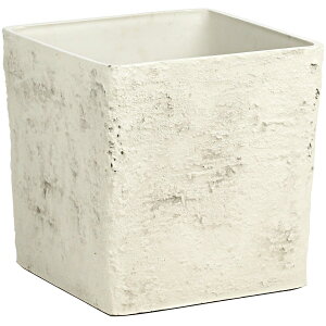 Jo[  SG Wonder zone/Kbg@FRPfފp8pzCg/160-006Wy07z K[fjOE|pi t[|bg Jo[