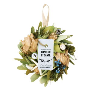 �y�h���C�zPaseo/�V�F�����[�XS/XS-322S�y01�z[2�P] �Ԋ�A���[�X �t�����[���[�X�E�ԃ��[�X�����i �h���C�t�����[���[�X