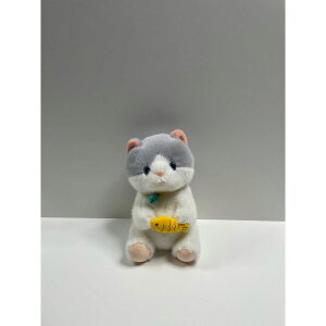 Gracias/z[hLbgʂ DԂ/K-363y01z ԎށEt[Xg fR[Vp[cEf ʂ/l`