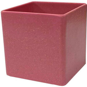 Gracias/GR`bvt[|bgXNGAM sN/C-342y01z[5] ԊA[X ԊEԕr ̑Ԋ