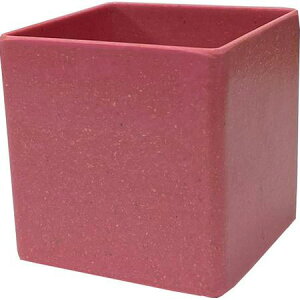 Gracias/GR`bvt[|bgXNGAL sN/C-343y01z[5] ԊA[X ԊEԕr ̑Ԋ