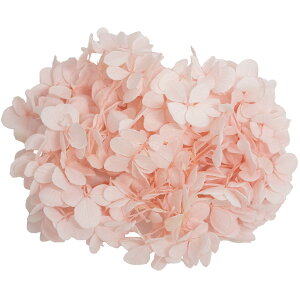 yvU[uhzGARDEN PALETTE MONO/AgeBXAWTC y[sN 15g/GPT-19y01z vU[uht[ vU[uht[ԍ izԁj