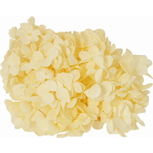 yvU[uhzGARDEN PALETTE MONO/AgeBXAWTC ItzCg 15g/GPT-01y01z vU[uht[ vU[uht[ԍ izԁj