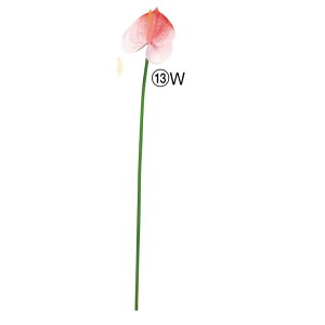 yԁzAXJ/AXE zCgR[/A-34890-13Wy01z ԁiA[eBtBVt[j  ԍށusv AX[