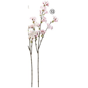 yԁzAXJ/×50 CgsN/A-34775-13y01z ԁiA[eBtBVt[j  ԍށusv ij