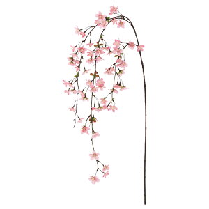 yԁzAXJ/×72 sN/A-34778-3y01z ԁiA[eBtBVt[j  ԍށusv ij