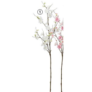 yԁzAXJ/ԓ×19 ڂ×23 zCg/A-34773-1y01z ԁiA[eBtBVt[j  ԍށu܍sv ij