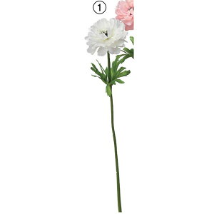 yԁzAXJ/All zCg/A-34801-1y01z ԁiA[eBtBVt[j  ԍށusv All