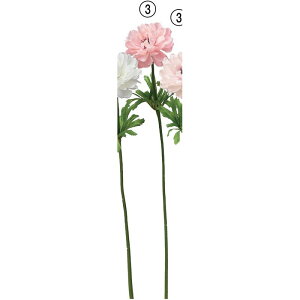 yԁzAXJ/All sN/A-34801-3y01z ԁiA[eBtBVt[j  ԍށusv All