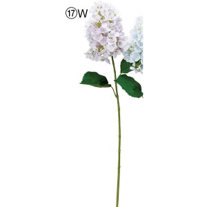 yԁzAXJ/nChWA zCgCbN/A-34700-17Wy01z ԁiA[eBtBVt[j  ԍށusv izԁj