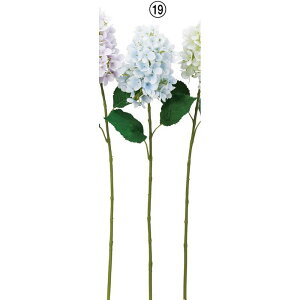 yԁzAXJ/nChWA Cgu[/A-34700-19y01z ԁiA[eBtBVt[j  ԍށusv izԁj