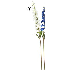 yԁzAXJ/ftBjE zCg/A-34711-1y01z ԁiA[eBtBVt[j  ԍށusv ftBj[