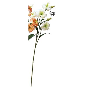 yԁzAXJ/B×4 ڂ×2 zCgO[/A-34806-52y01z ԁiA[eBtBVt[j  ԍށusv iSjE[