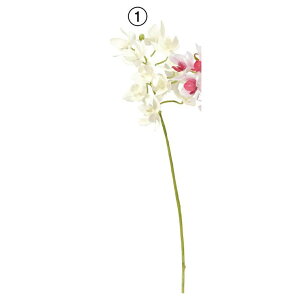 yԁzAXJ/~jI[Lbh×11 ڂ×2 zCg/A-34848-1y01z ԁiA[eBtBVt[j  ԍށusv ijEI[Lbh