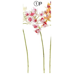 yԁzAXJ/~jI[Lbh×11 ڂ×2 zCgsN/A-34848-1Py01z ԁiA[eBtBVt[j  ԍށusv ijEI[Lbh