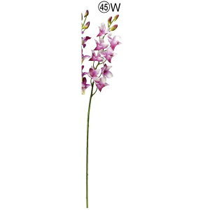 yԁzAXJ/ft@×8 ڂ×3 zCgI[Lbh(i`H)/A-34738-45Wy01z ԁiA[eBtBVt[j  ԍށusv ijEI[Lbh