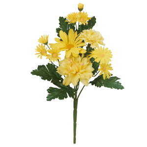   yԁzAXJ/ CG[/A-34248-10y01z dp p  tďH~