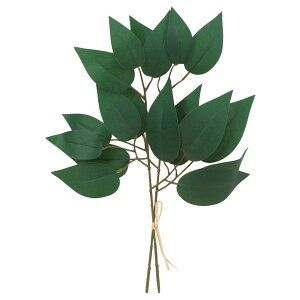   yԁzAXJ/o`(12{) _[NO[/A-43842-51Dy01z dp p  tďH~