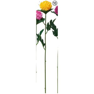 yԁzAXJ/fe CG[/A-34265-10y01z ԁiA[eBtBVt[j  ԍށusv LNiejEs|}