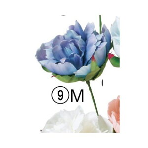 yԁzAXJ/sIj[sbN u[[u/A-34807-9My01z ԁiA[eBtBVt[j  ԍށusv VNNi䉖jE{^iOjEsIj[