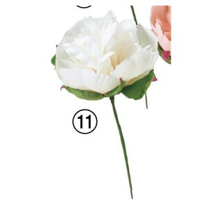 yԁzAXJ/sIj[sbN N[zCg/A-34807-11y01z ԁiA[eBtBVt[j  ԍށusv VNNi䉖jE{^iOjEsIj[