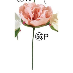 yԁzAXJ/sIj[sbN [usN/A-34807-55Py01z ԁiA[eBtBVt[j  ԍށusv VNNi䉖jE{^iOjEsIj[