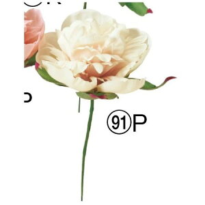 yԁzAXJ/sIj[sbN AC{[sN/A-34807-91Py01z ԁiA[eBtBVt[j  ԍށusv VNNi䉖jE{^iOjEsIj[