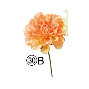 yԁzAXJ/_AsbN CgIW/A-34808-30By01z ԁiA[eBtBVt[j  ԍށusv _A