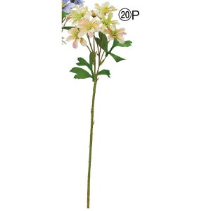 yԁzAXJ/~j_AXv[×8 CG[s[`/A-34708-20Py01z ԁiA[eBtBVt[j  ԍށusv _A