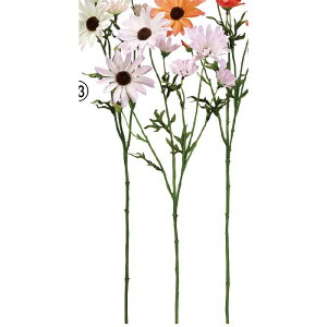 yԁzAXJ/f[W[×6 ڂ×1 CgsN/A-34698-13y01z ԁiA[eBtBVt[j  ԍށusv f[W[