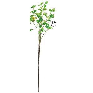 yԁzAXJ/hbOEbh[tXv[ zCgO[/A-44467-52y01z ԁiA[eBtBVt[j  ԍށu͍sv Ԃ݂