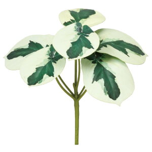 yԁzAXJ/yy~AsbN @QCgO[/A-44433-51Vy01z ԁiA[eBtBVt[j ԗtAtFCNO[ ̑̑ԗtEtFCNO[