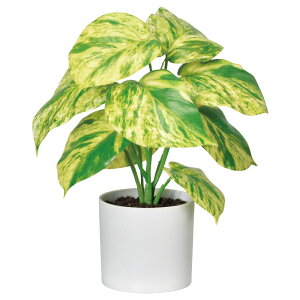 ylHϗtAzAXJ/|gX(|bgt) N[O[/A-51091-53Ay01z ԁiA[eBtBVt[j ԗt ԁElHϗtA |bg