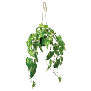 �y�l�H�ϗt�A���z�A�X�J/�n���M���O�t�B���f���h����(�|�b�g�t) �N���[���O���[��/A-51096-53A�y01�z ���ԁi�A�[�e�B�t�B�V�����t�����[�j ���ԗt�� ���ԁE�l�H�ϗt�A�� �����`50cm