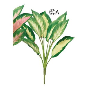 yԁzAXJ/fBtFoLAubV N[O[/A-44369-53Ay01z ԁiA[eBtBVt[j ԗt fBtFoLA