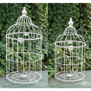 哯Ntg/o[hP[W 2PZbg CgO[/IBBG-2Sy01z X܃fBXvCEX X܃CeAEG (o[hQ[W)