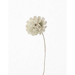 yԁzTZC/polca KN-04 Q #N15 NzCg/751042y10z[6] ԁiA[eBtBVt[j  ԍށusv ̑usvԉԍ