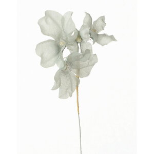 yԁzTZC/polca KN-09 nCh #N136 N-BG/751116y10z[6] ԁiA[eBtBVt[j  ԍށusv izԁj