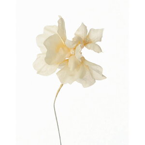 yԁzTZC/polca KN-09 nCh #N11 NCG[/751120y10z[6] ԁiA[eBtBVt[j  ԍށusv izԁj