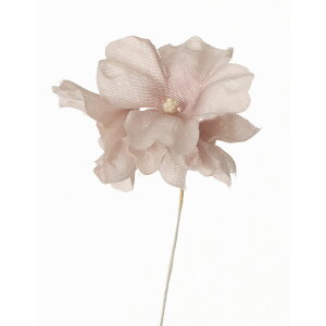 yԁzTZC/polca KN-09 nCh #N04 NsN/751122y10z[6] ԁiA[eBtBVt[j  ԍށusv izԁj