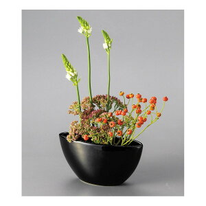 LEO^JIJ/t[x[X /T-1890y01z ԊA[X ԊEԕr Ԋ