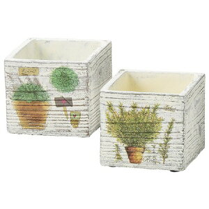 zr[/XNGA|bgivcAj/SP-1131y01z[6] ԊA[X ԊEԕr Ԋ