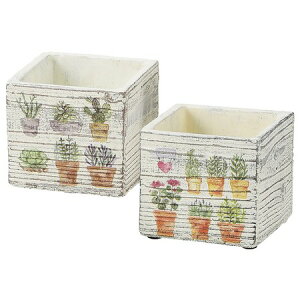 zr[/XNGA|bgivcBj/SP-1132y01z[6] ԊA[X ԊEԕr Ԋ