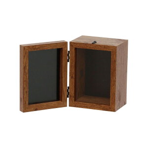 ۘaf/tHgNtg{bNX c uE/400845102y07z ԊA[X ԊEԕr tHgt[(ʐ^)