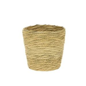 Jo[  勴VX/[k24|464 D4/24-464y01z K[fjOE|pi t[|bg Jo[