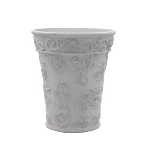 Aؔ  CARNAC/{[hAxXNg[L|GY O[/FC034GYy01z K[fjOE|pi t[|bg 