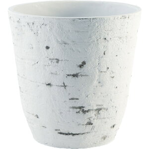 Aؔ  zCG/FR~|bgzCgXg[/3A00089(S)y07z K[fjOE|pi t[|bg 