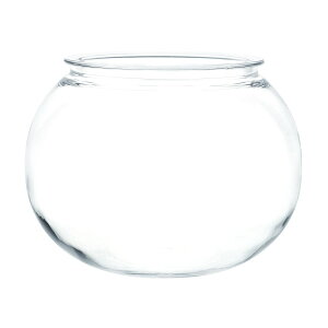 zCG/Ȃh[PV`25i15D5j/2300075y07z ԊA[X ԊEԕr |J[{l[g