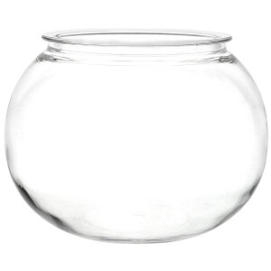 zCG/Ȃh[PV`60i32j/2300078y07z ԊA[X ԊEԕr |J[{l[g